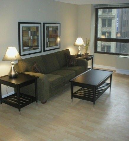 Oakwood At Millennium Park Plaza Aparthotel Chicago Luaran gambar